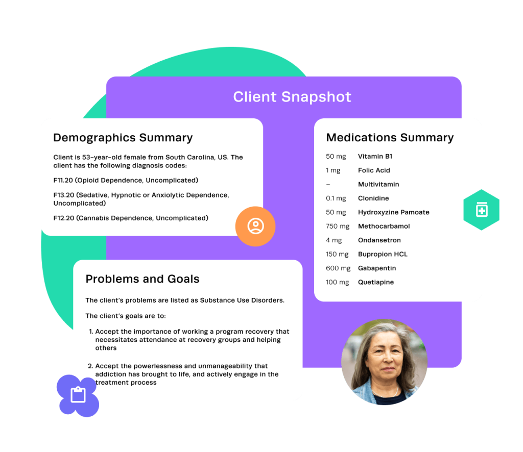 Client snapshot illustration showing summaries of demographics, medications and problems and goals